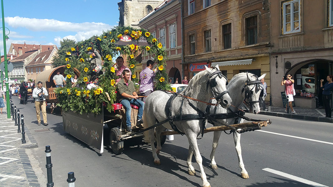 geschmückter Festwagen wird von einem Pferd gezogen