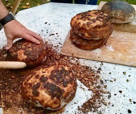Nahaufnahme von 5 Broten, welche mit einem Stock von ihrer Kruste befreit werden