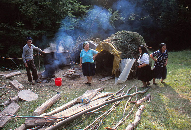 Foto von Wiese mit Feuerstelle, Hütte aus Zweigen und Menschen davor