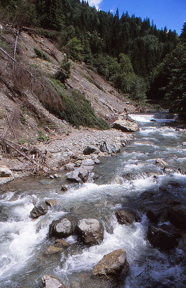 Foto vom Fluss
