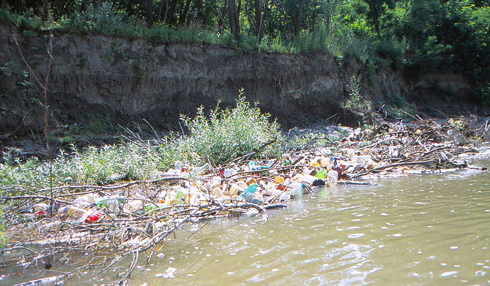 Plasteflaschen am Uferrand