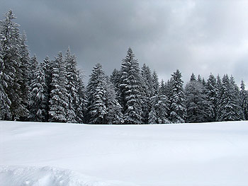 Winterlandschaft