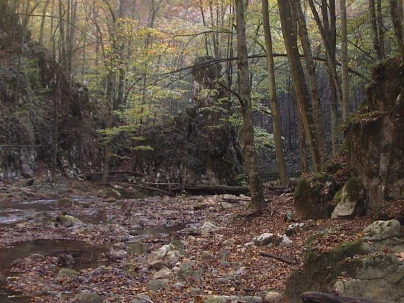 Landschaft