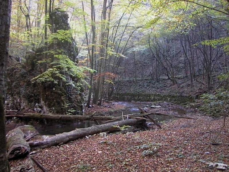 Landschaft
