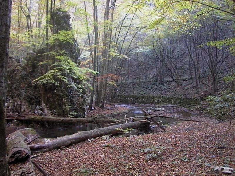 Fluss neben Bahnstrecke