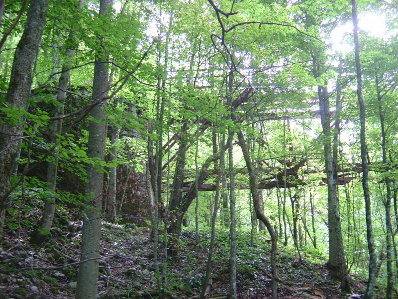 Landschaft