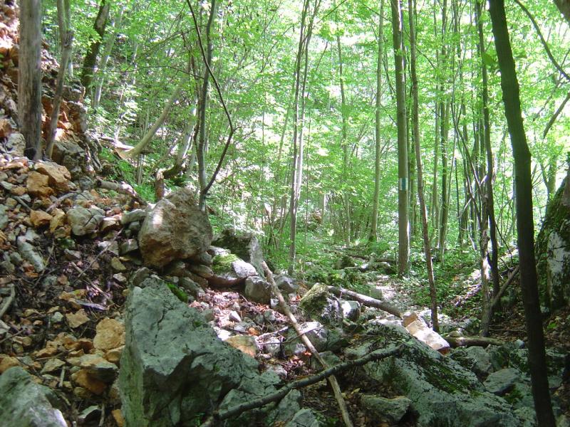 Schlucht durch Felsstürze blockiert