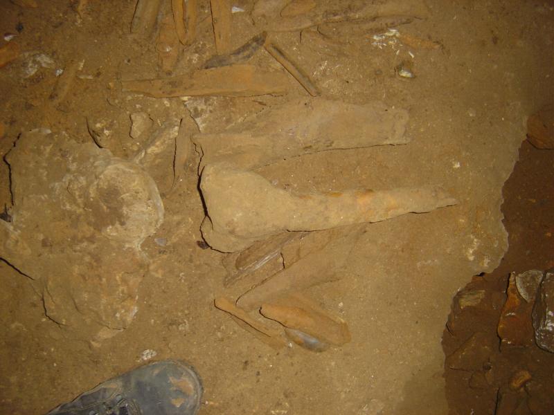 Knochenfunde in Höhlen