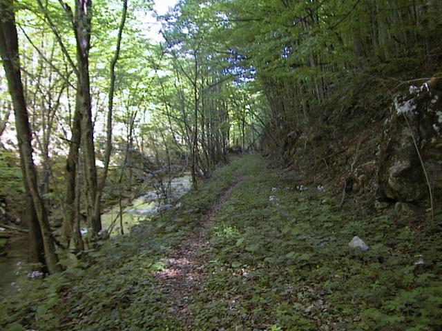 Landschaft