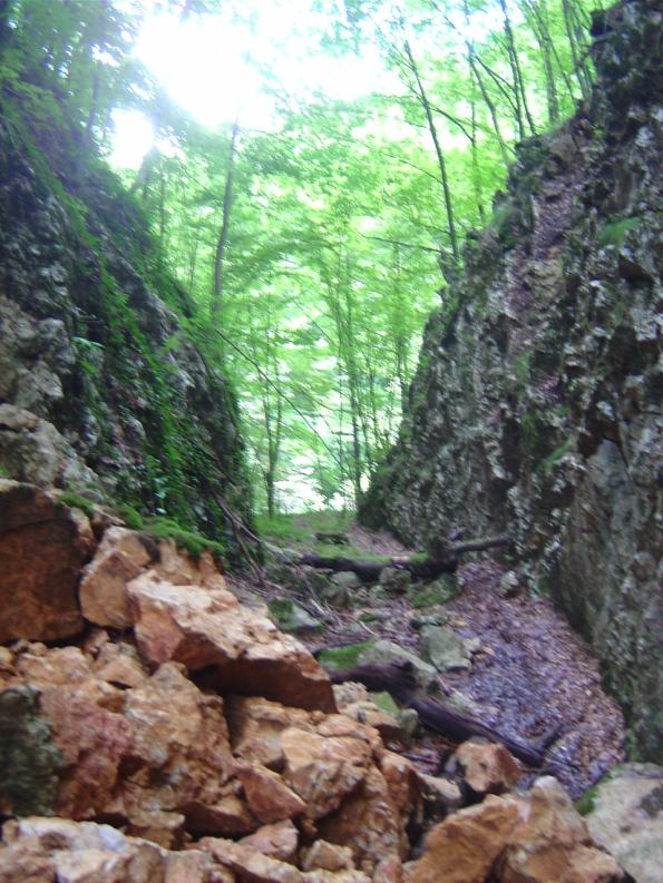 Felsstürze in Schlucht