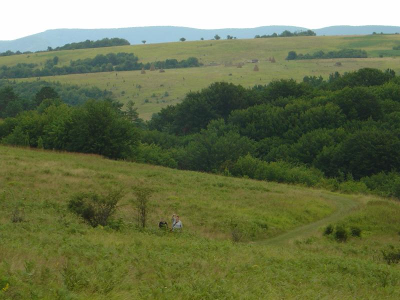 Landschaftsbild