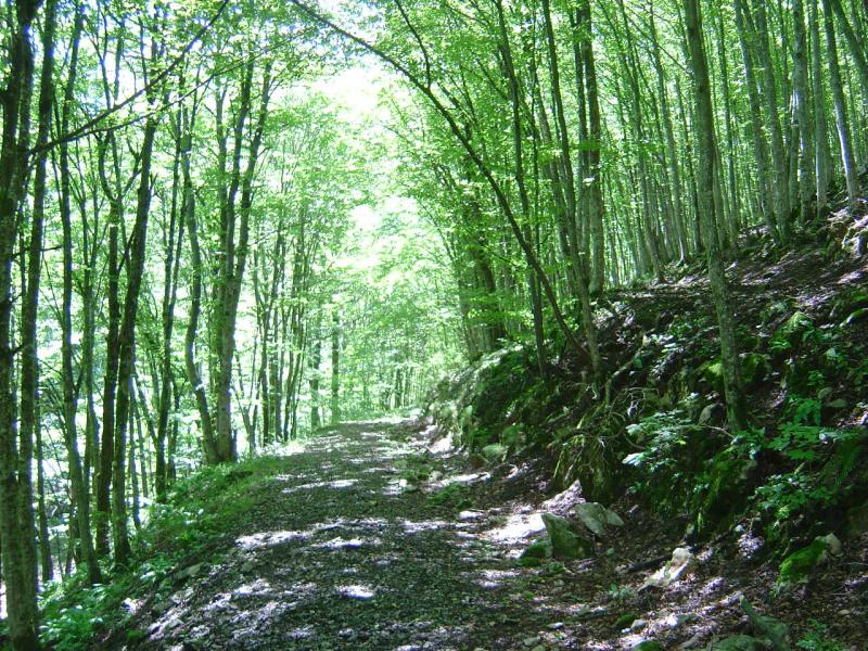 Landschaft