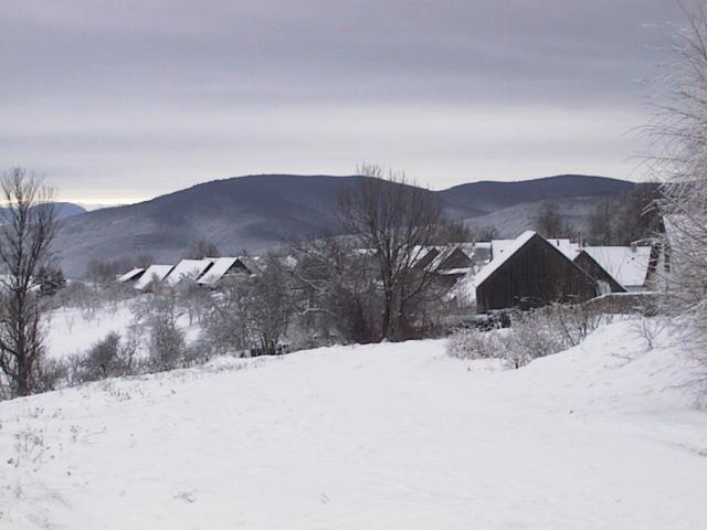 Dorf mit Berglandschaft im Winter