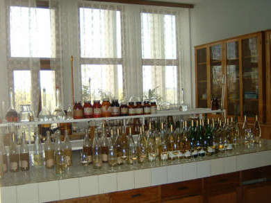 Labor mit vielen Weinflaschen