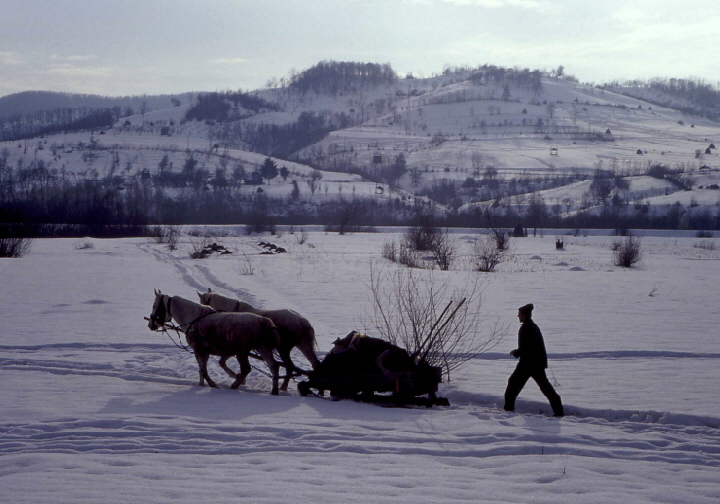 Pferdeschlitten auf Feld