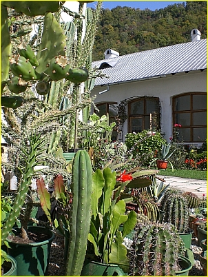 Kirchenbilder