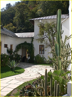 Kirchenbilder