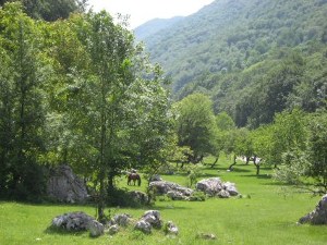 Landschaft