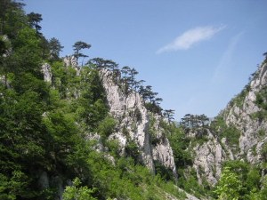 Landschaft