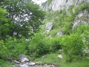Landschaft