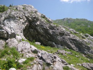 Landschaft