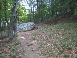 Landschaft