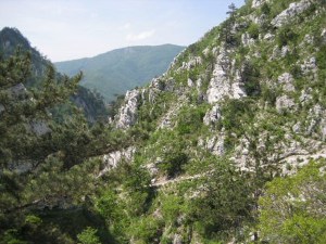 Landschaft