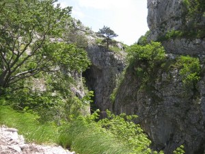 Landschaft