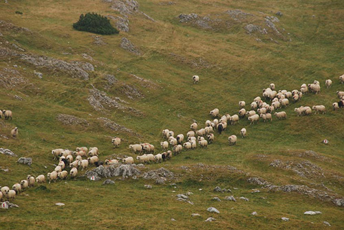 Berglandschaft