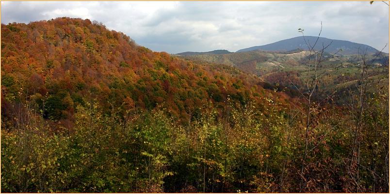 Berglandschaft