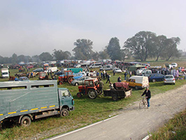 Pferdemarkt