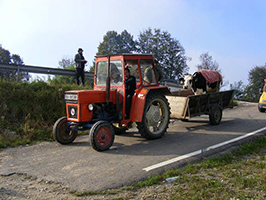 Pferdemarkt