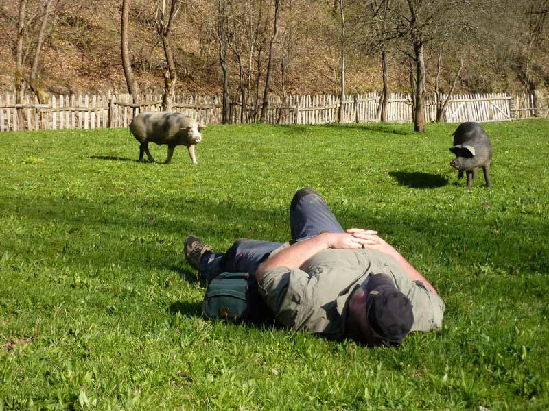 Wanderer im Gras liegend