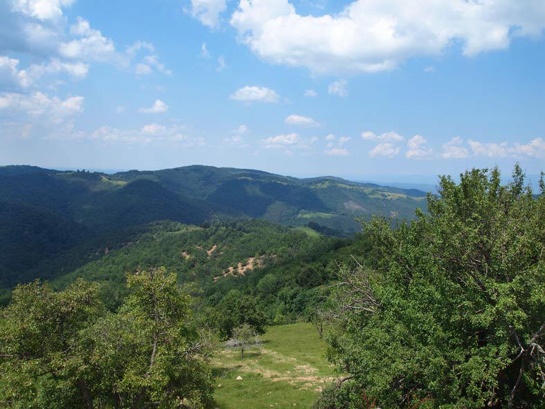 Berglandschaft