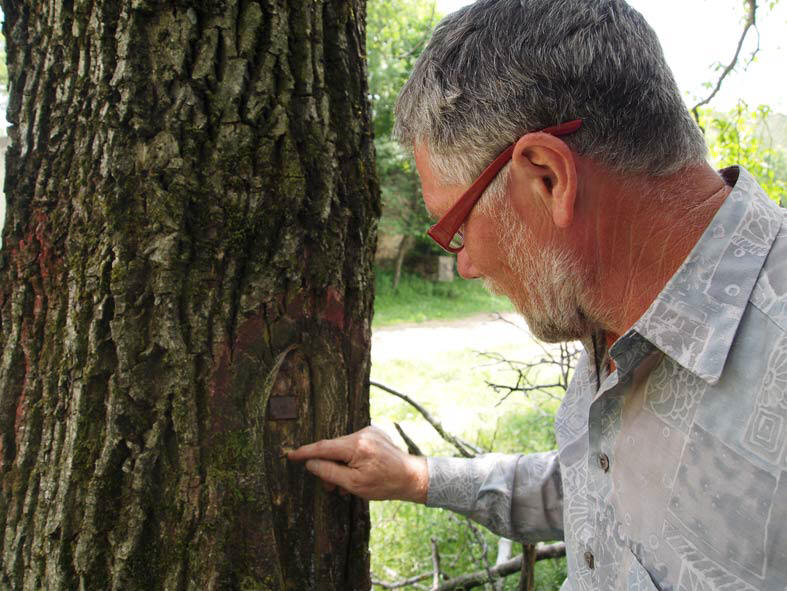 Mann vor einem Baum