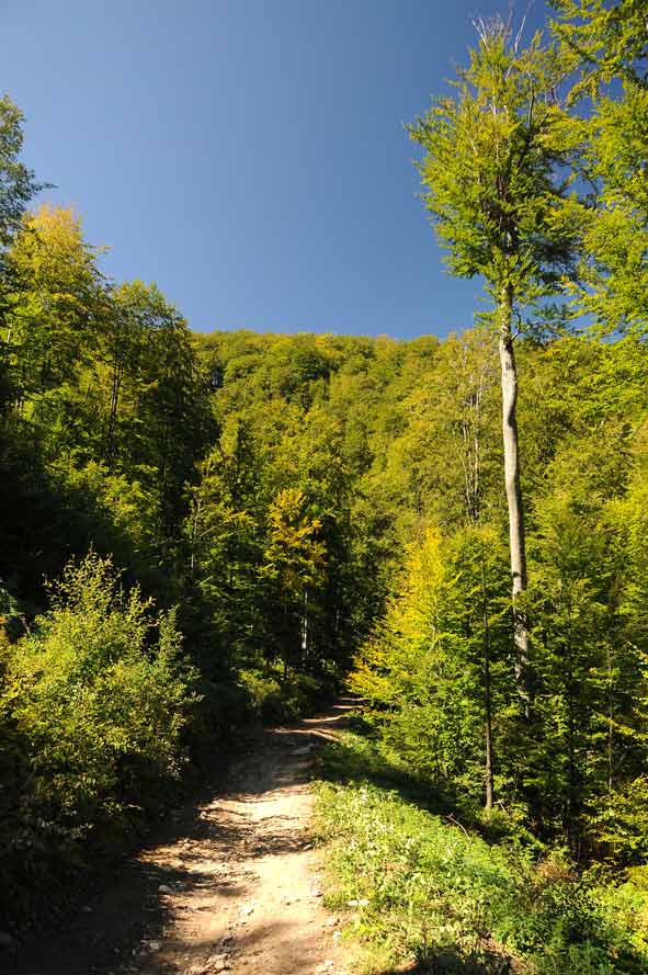 Berglandschaft