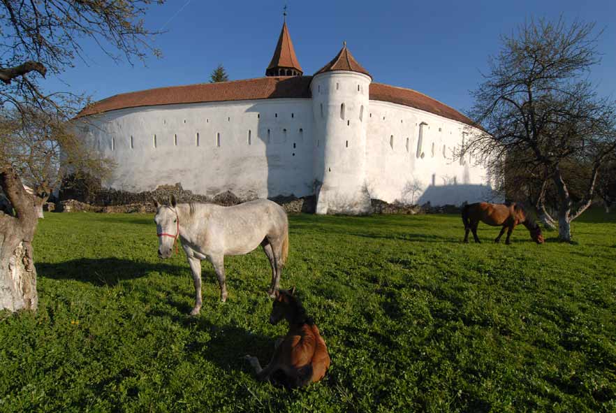 Kirchenburg