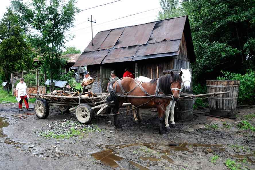 Pferdewagen vor Schnapsbrennerei