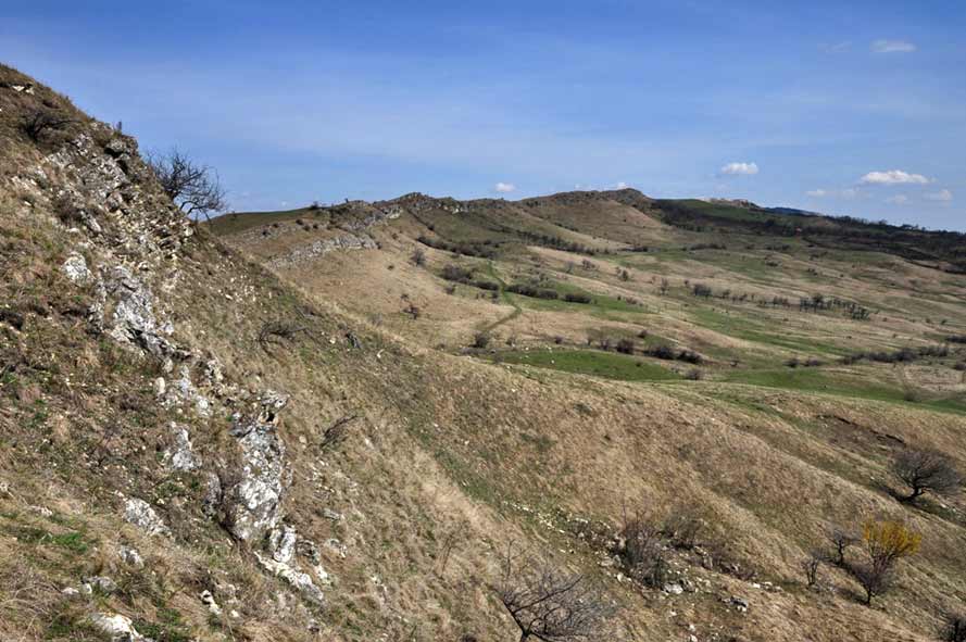 Landschaft