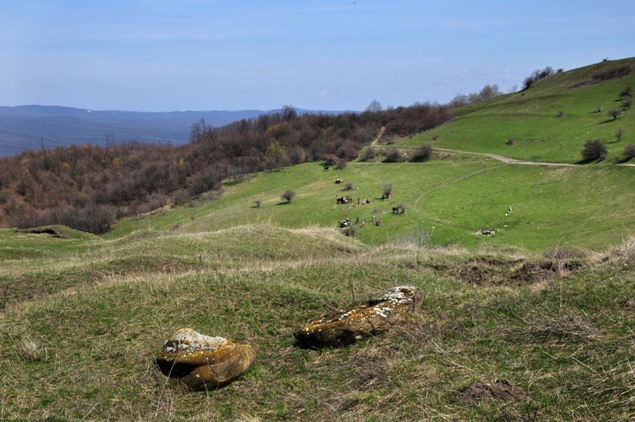 Landschaft