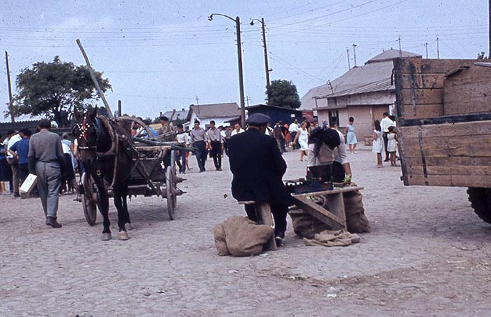 tiermarkt