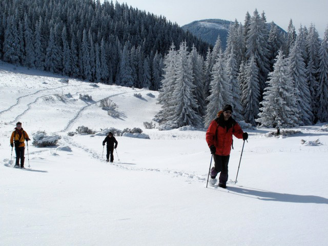 Schneelandschaft