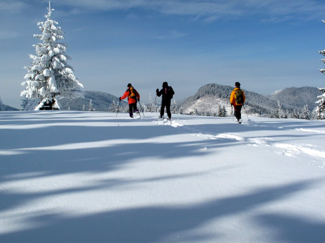 Schneelandschaft