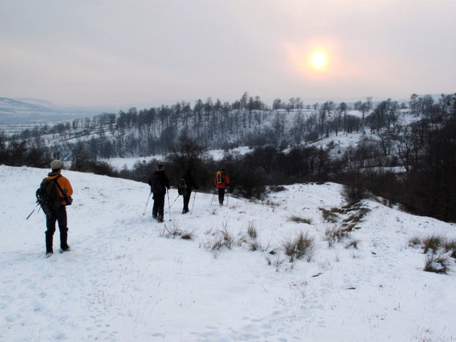 Schneelandschaft