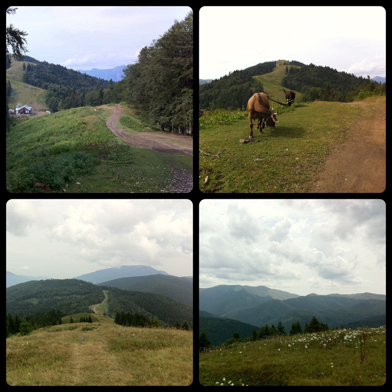 Foto-Collage Berglandschaft