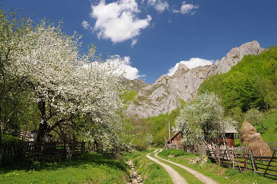 Berglandschaft