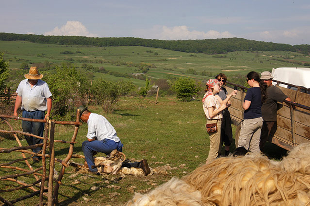 Menschen arbeiten auf dem Feld