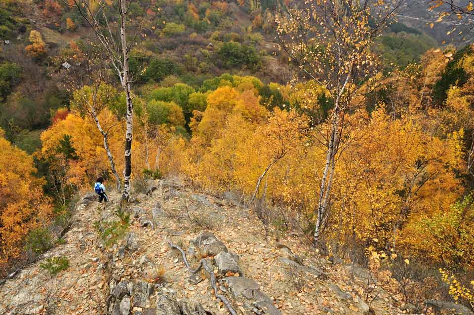 Herbstlandschaft in den Bergen