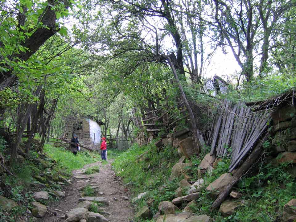 Mädchen steht auf einem Weg