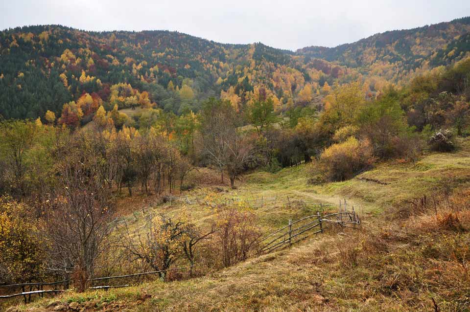 Berglandschaft